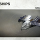 Illustration for article titled Bungie Explains How iDestiny 2/i Seasons Will Work